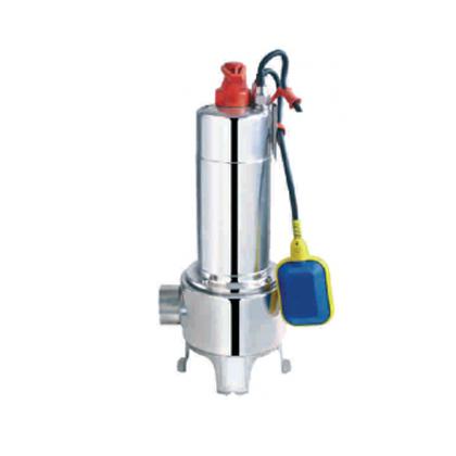 KOMPLE PASLANMAZ DALGIÇ POMPASI 2 HP 13 MT DİK BASAR